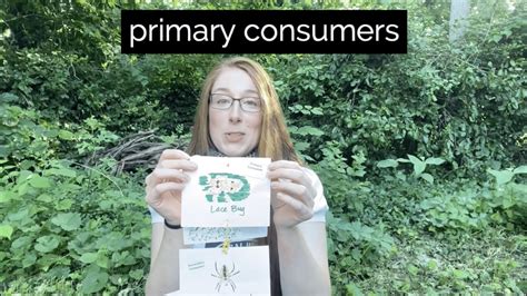 Pop Up Science Food Web Fun Youtube