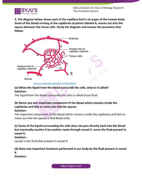 Selina Solutions Concise Biology Class 10 Chapter 8 The Circulatory System Available In Free Pdf