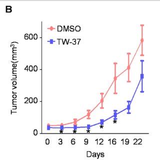 Effect Of Tw On Tumor Growth In A Xenograft Mice Model Balb C Nude