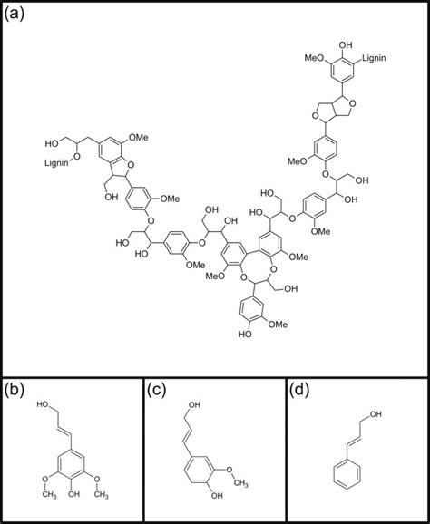 Chemical Structure Of Lignin A And The Three Main Precursors Sinapyl