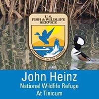 Beginners Birding with Cliff and Nancy Hence | John Heinz National Wildlife Refuge At Tinicum ...