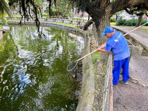 Sanep Realiza Manutenção Do Lago Da Praça Coronel Pedro Osório Diário