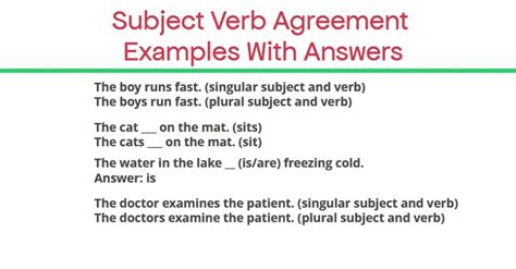 10 Subject Verb Agreement Examples Printable Templates