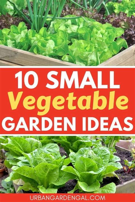 Small Vegetable Garden Ideas Urban Garden Gal