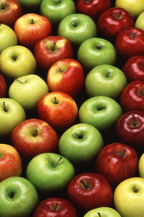 Apples | Free Stock Photo | Multiple types of apples lined up in a ...