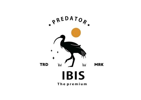 Ibis Logo Graphic By Artoniumw · Creative Fabrica