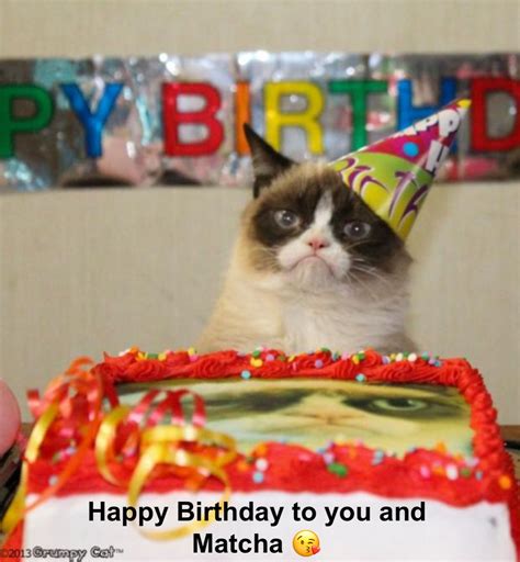 Grumpy Cat Birthday Meme Generator Pi Ata Farms The Best Meme