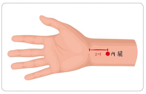 Huyệt Nội Quan Nằm ở đâu