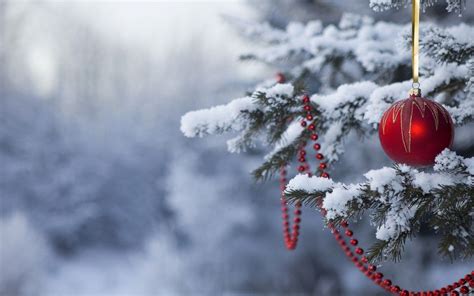 Snow Christmas Tree Desktop Wallpapers - Wallpaper Cave