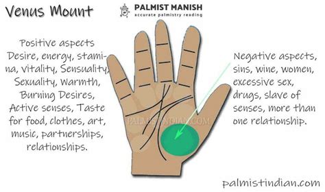 Mount of Venus in palmistry With Illustration | Palmist Manish