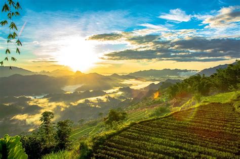 Nh Ng T A S N M Y Hot Hit Nh T T I S N La Baoson Travel