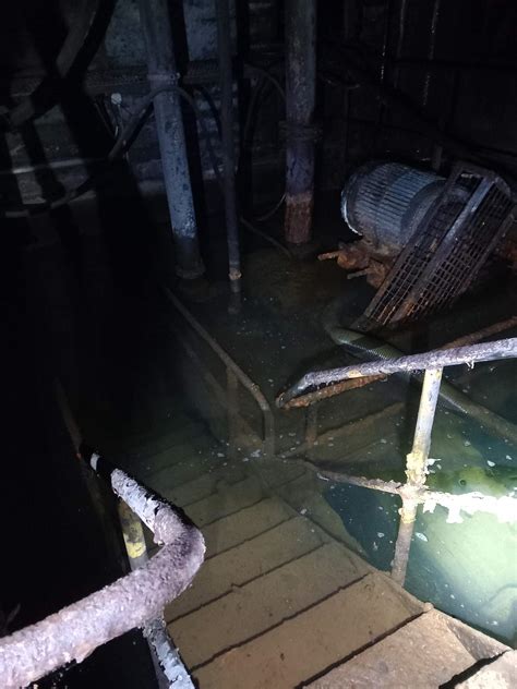 Welche Bakterien/keimen/Chemie Stoffe/ oder Tiere können hier im Wasser