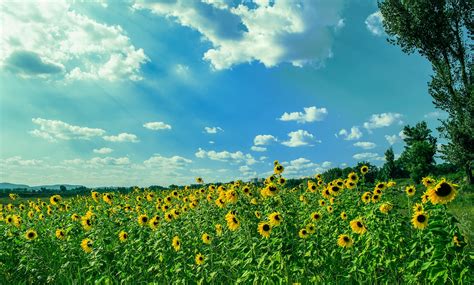 What's British weather REALLY like?