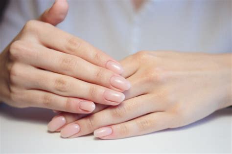 Elegant Nude French Tip Nails In Zohna
