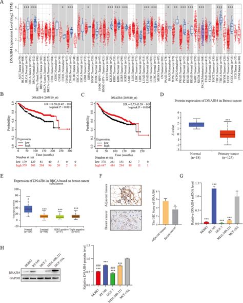 Dnajb Suppresses Breast Cancer Progression And Promotes Tumor Immunity