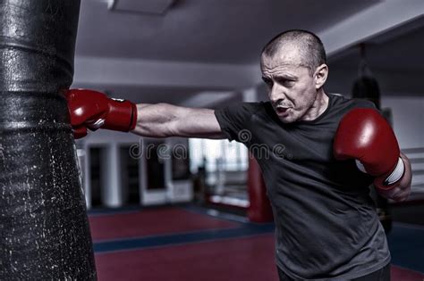 Treino De Boxer Batendo No Saco Pesado Foto De Stock Imagem De Arte