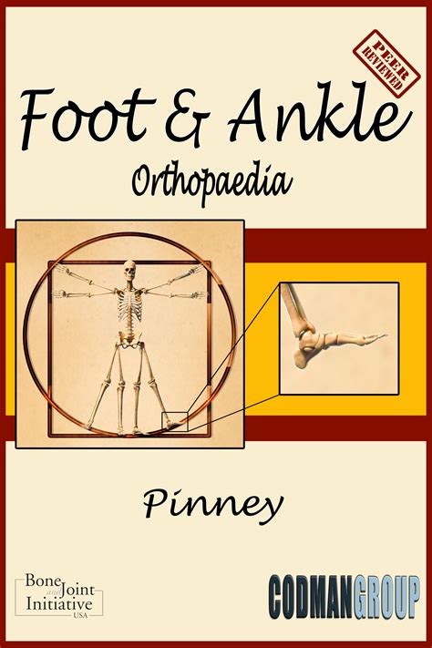 Tendon Disorders of the Foot and Ankle – Orthopaedia: Foot & Ankle