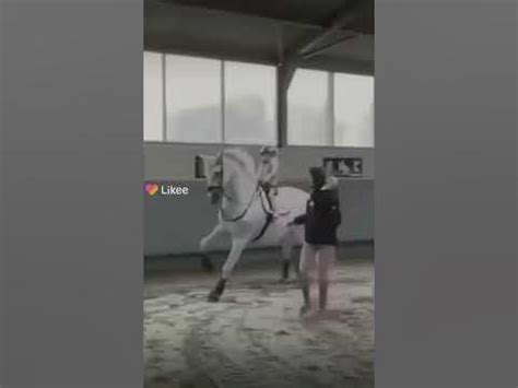Конный спорт 🐴 Видео про лошадей - YouTube