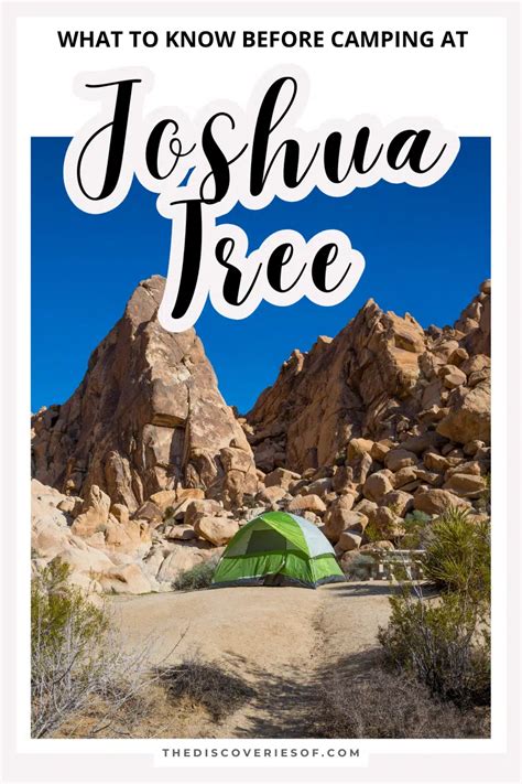 Joshua Tree Camping Guide — The Discoveries Of