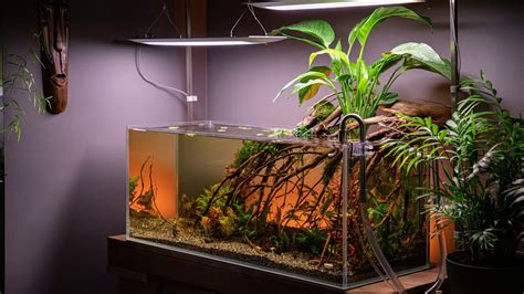 How I Built A 160L Aquarium INSTANTLY To RESCUE My Friends ANGELFISH