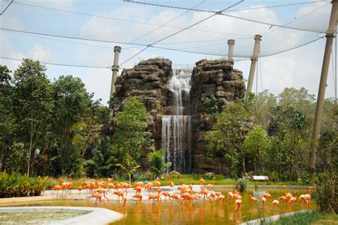 18 Things To Know About The Newly Opened Bird Paradise In Singapore