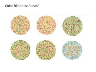 Sex Linked Punnett Square Notes Copy Ppt