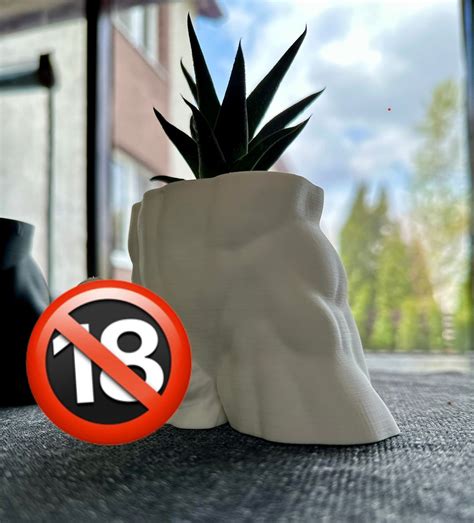 Succulent Vase Men Body Planter Pot Butt Vase Nude Male Torso Vase Succulent Womans Day Gift