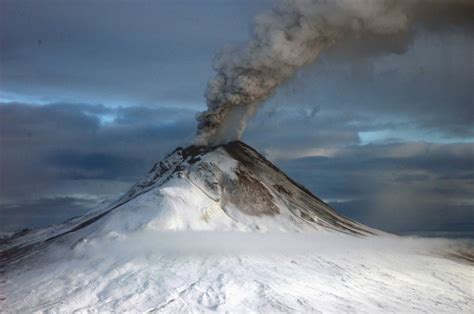 Bird Treatment and Learning Center: Augustine Volcano