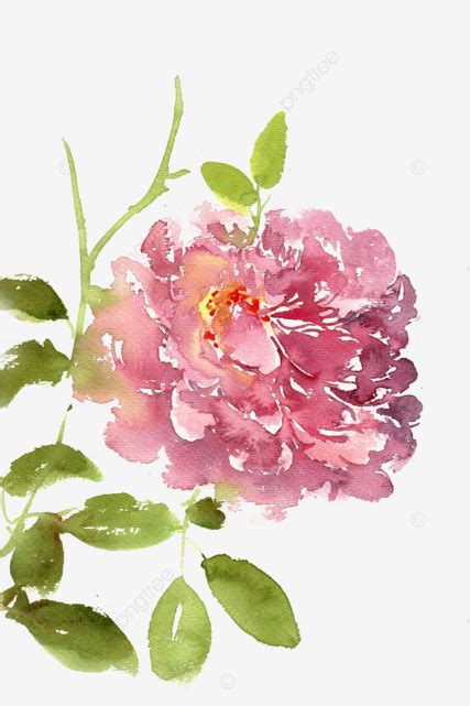 Blooming Peony Flower Ink Bloom Flowers Png Transparent Clipart