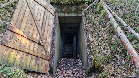 Very elaborate holes in the ground