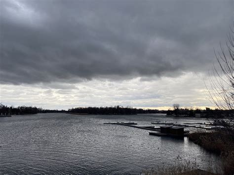 Розе Ауслендер: няколко фрагмента – Blog of Ivan