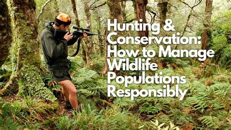 hunting conservation   manage wildlife populations responsibly