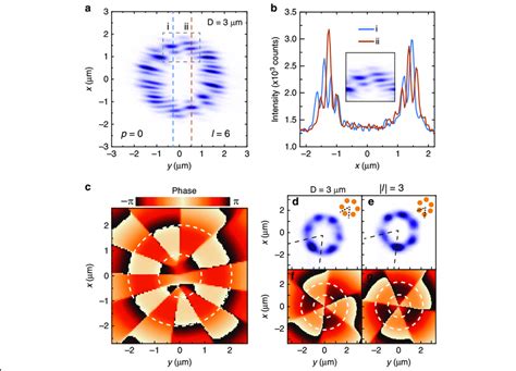 Interference And Phase Of The Petal Shaped Polariton Condensates A