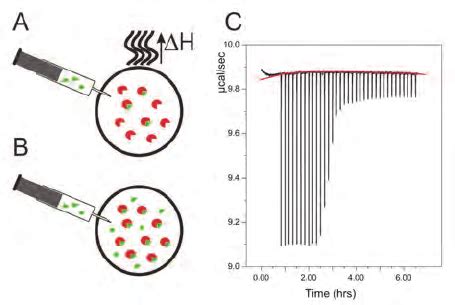 Illustrates the principles of ITC measurements. A: During the initial ...