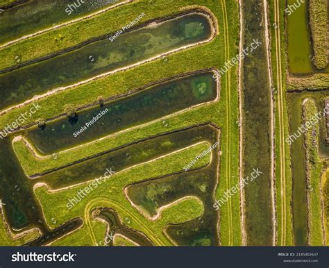 Marsh France Les Sables Dolonne Stock Photo Shutterstock