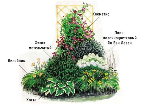Пионы в саду. С чем сажать пионы? - Тепличный комплекс "Северный" п ...