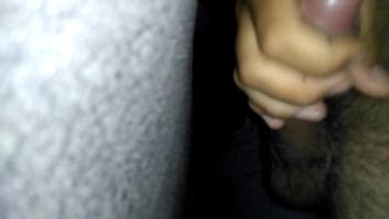 Punheta Matinal Xvideos