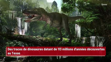 Des traces de dinosaures datant de 113 millions d années découvertes au