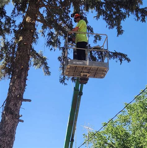 Calamus, IA Community News and Business Posts | Facebook