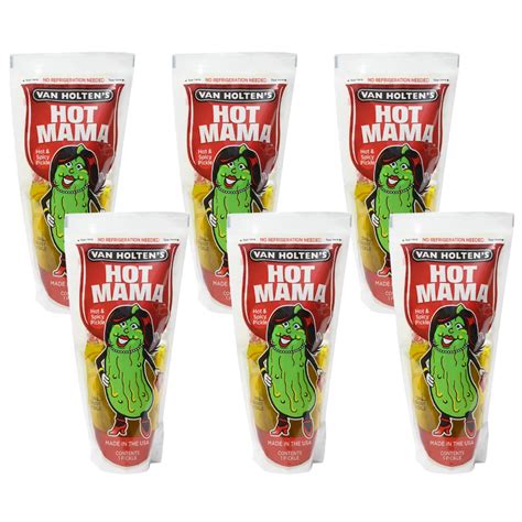 Buy Van Holten S Pickles Hot Mama Pickle In A Pouch Pack Online In India B TM GF