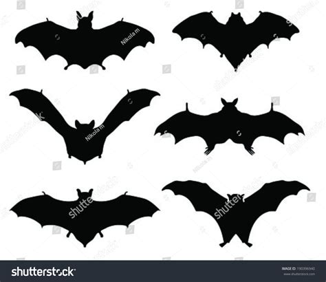 Flying Bat Silhouette