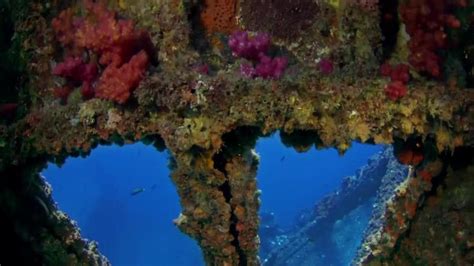 Pink Scuba Diver Porn Videos