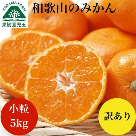 みかん 訳あり 小玉 5kg 送料無料 和歌山 ご自宅用 箱買い Mikan05果樹園児玉 通販 Yahooショッピング