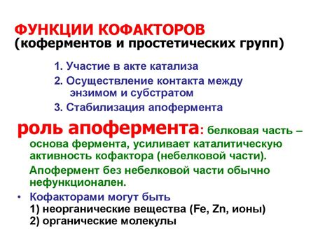 Ферменты. Лекции 1-4 - презентация онлайн