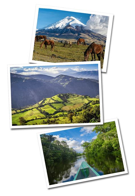 Travel Ecuador • South America | She is Wanderlust Travel Blog