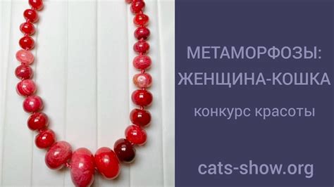 Конкурс красоты МЕТАМОРФОЗЫ: ЖЕНЩИНА-КОШКА - YouTube