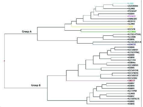 Dendogram Generated From An Unweighted Pair Group Method Analysis