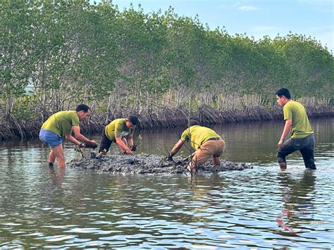PGLU Strengthens Mangrove Conservation Initiatives, Enhances Climate Action