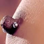 Interracial Sex Im Pool Von Lives Xposed Xhamster