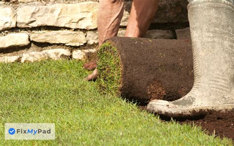 how much does it cost to lay turf